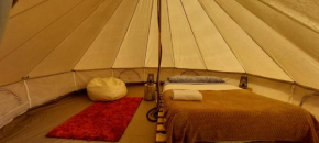 Nature Retreat - Laurel Forest